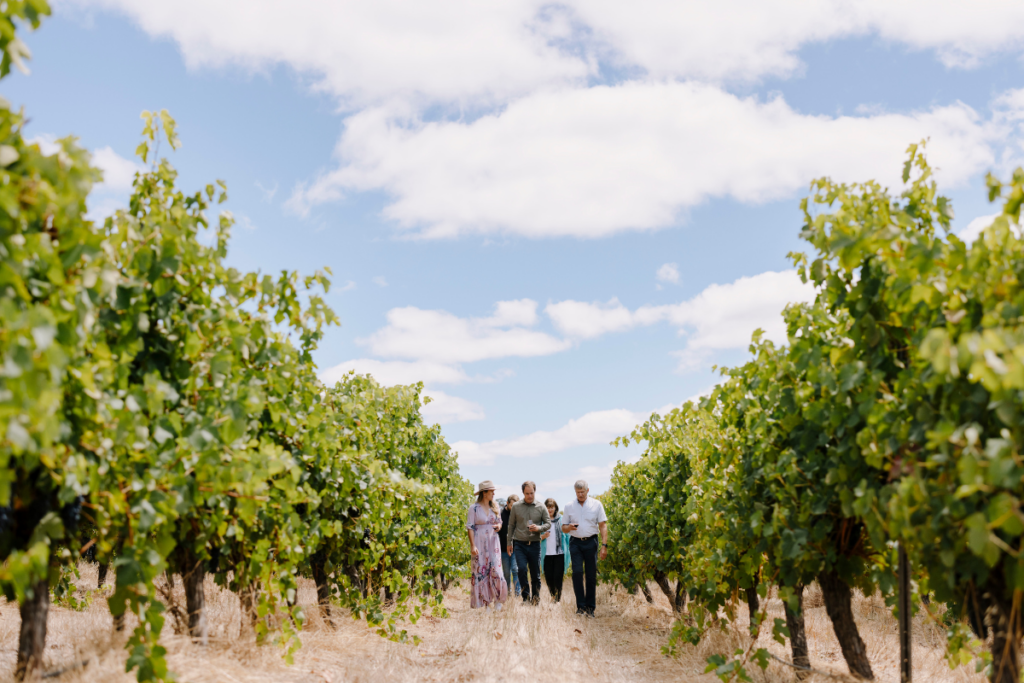 McLeod Tours, Margaret River. Image via Tourism Western Australia