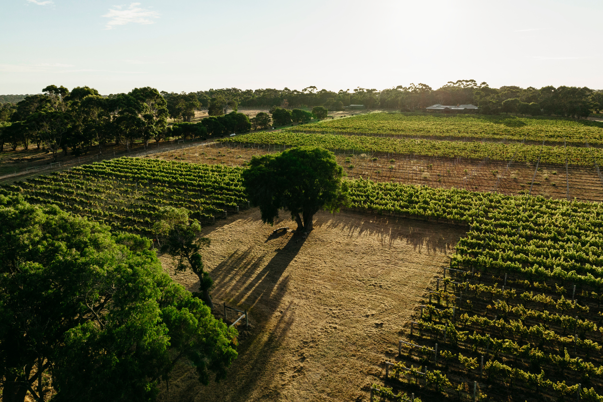 Western Australia Winery. Image via Tourism Western Australia