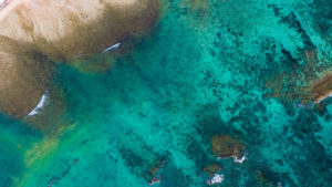 Ningaloo Reef, Western Australia. Image supplied via Tourism Western.
