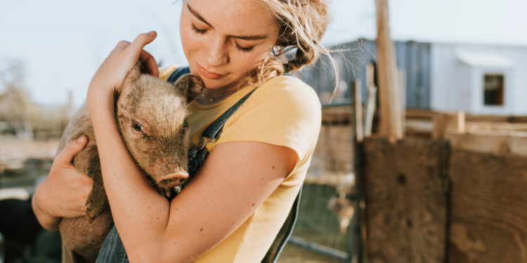 5 Animal Sanctuaries Around Australia You Must Visit In 2021 Hunter And Bligh