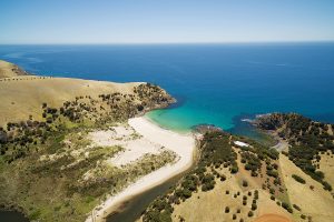 Snelling Beach, Kangaroo Island. Photographed by Greg Brave. Image via Shutterstock.