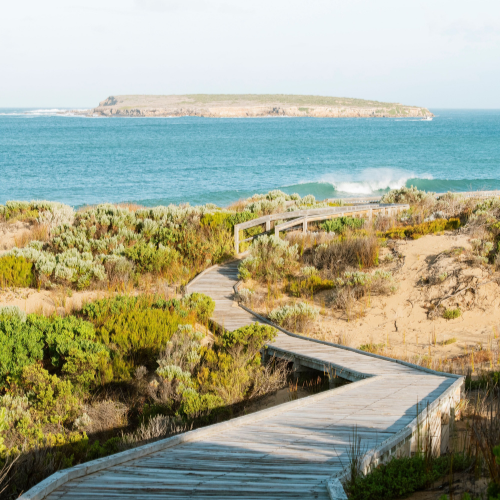 <strong>Cable Bay Campground</strong>