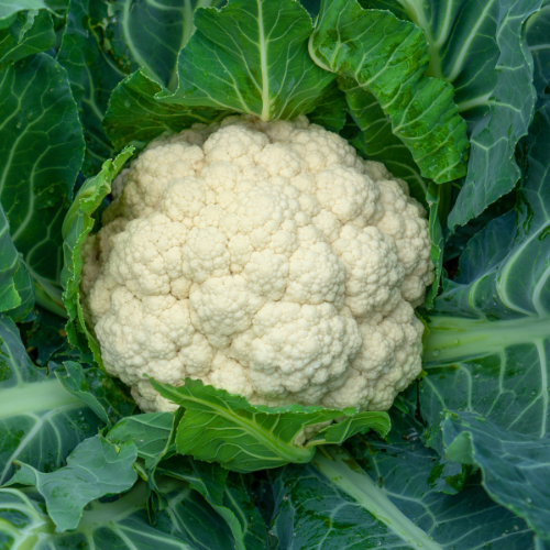 <strong>7. Cauliflower</strong>