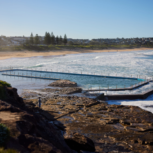 <strong>Palm Beach Rock Pool</strong>