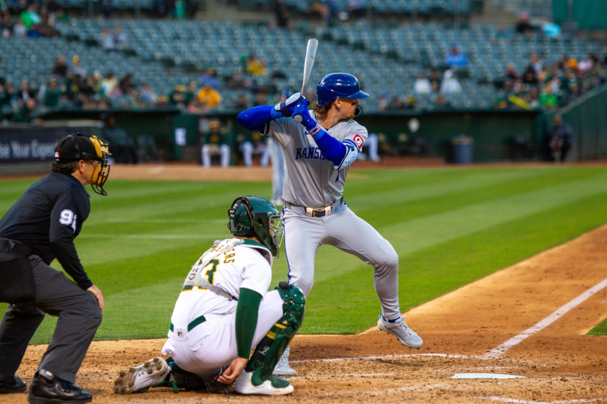 Baseball for Dummies. Photography by Conor P. Fitzgerald. Image via Shutterstock