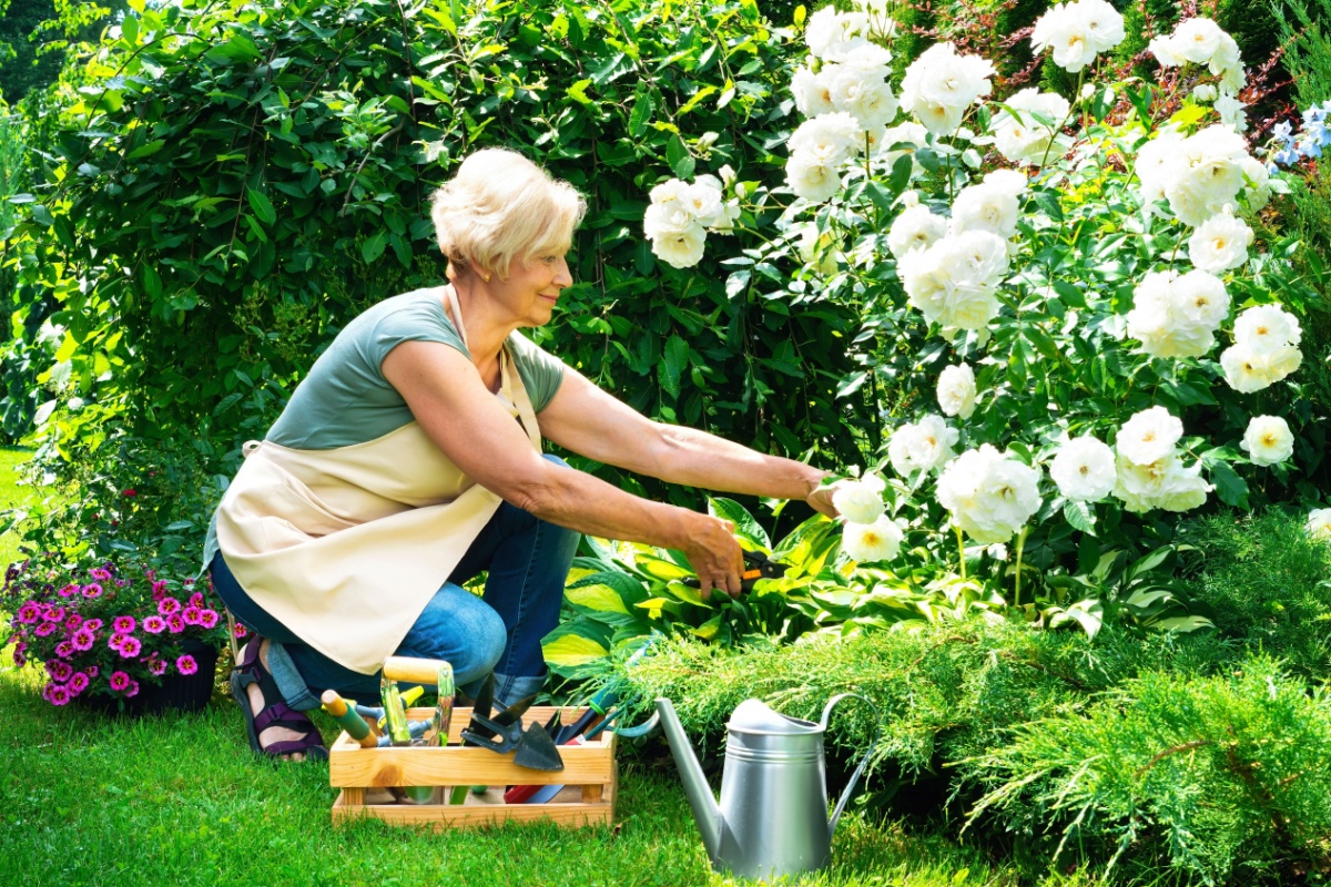 Older woman gardening. Photography by nieriss. Image via Shutterstock