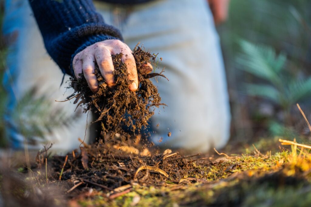 Pile of compost. Photography William Edge via Shutterstock