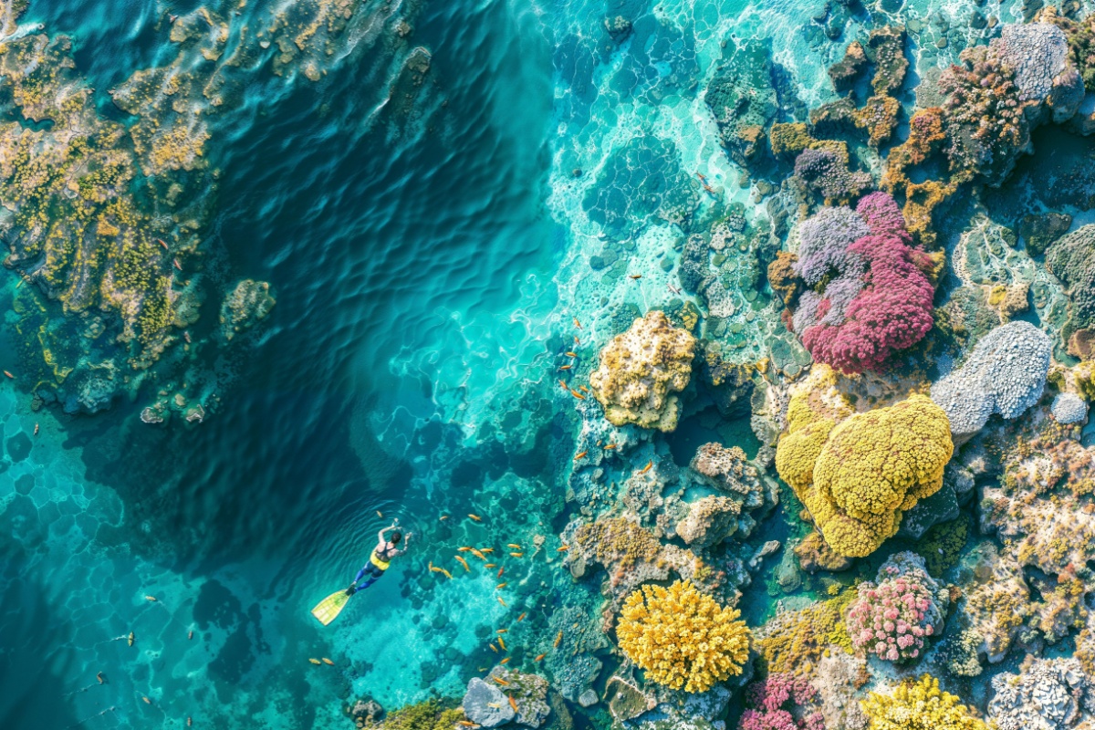 Fiji coral reef. Photography by kafi9944 via Shutterstock