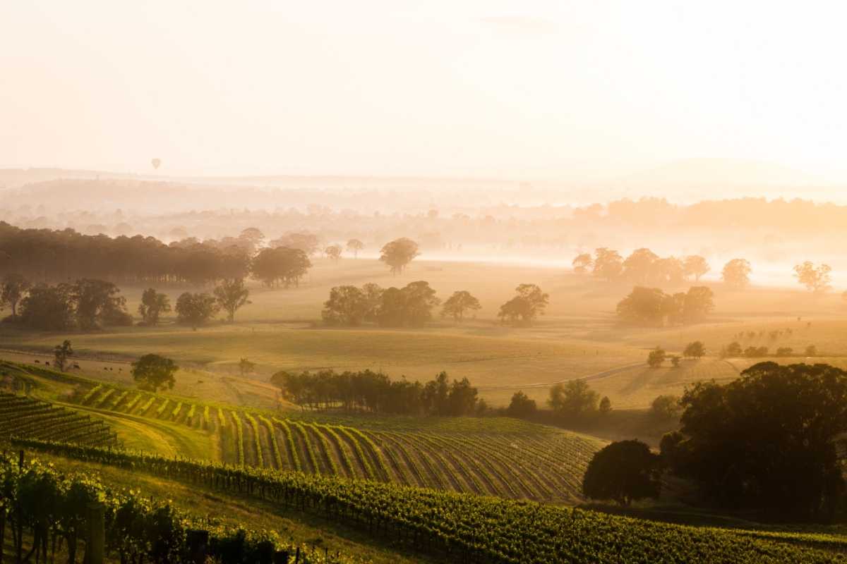 Sunrise over Hunter Valley Winery. Photography by halans via Shutterstock