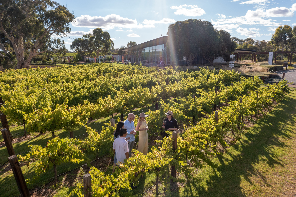 Jacob's Creek, Barossa Valley. Image via South Australian Tourism Commission